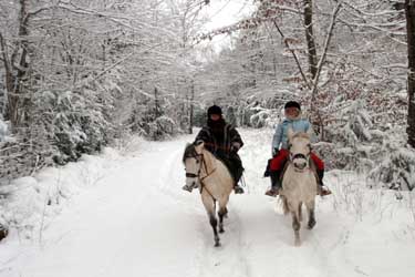 Voyage à cheval dans le Jura en hiver - Randonnée équestre organisée par Randocheval