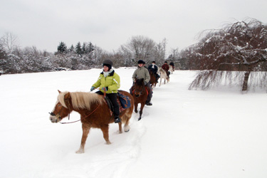 Voyage à cheval dans le Jura en hiver - Randonnée équestre organisée par Randocheval