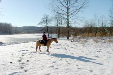 Voyage à cheval dans le Jura en hiver - Randonnée équestre organisée par Randocheval