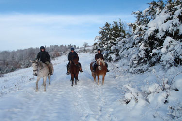 Voyage à cheval dans le Jura en hiver - Randonnée équestre organisée par Randocheval