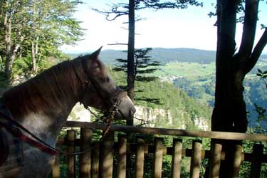 Voyage à cheval dans le Jura - Randonnée équestre organisée par Randocheval