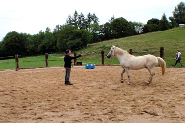 Stage éthologie dans le Jura - Randonnée équestre organisée par Randocheval