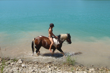 Voyage à cheval dans le Jura - Randonnée équestre organisée par Randocheval