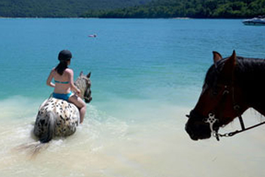 Voyage à cheval dans le Jura - Randonnée équestre organisée par Randocheval