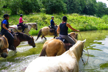 Voyage à cheval dans le Jura - Randonnée équestre organisée par Randocheval