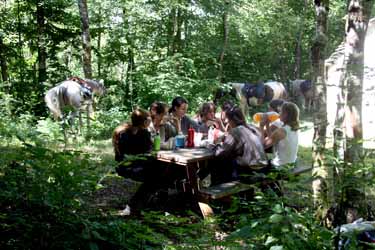 Voyage à cheval dans le Jura (juniors) - Randonnée équestre organisée par Randocheval