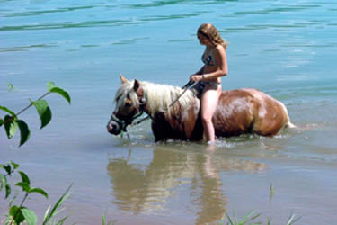 Voyage à cheval dans le Jura - Randonnée équestre organisée par Randocheval