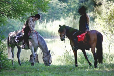 Voyage à cheval dans le Jura (juniors) - Randonnée équestre organisée par Randocheval