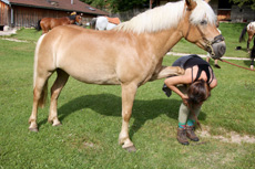 Voyage à cheval dans le Jura (juniors) - Randonnée équestre organisée par Randocheval