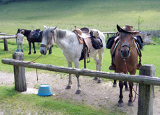 Voyage à cheval dans le Jura (juniors) - Randonnée équestre organisée par Randocheval