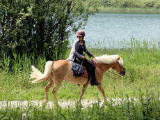 Voyage à cheval dans le Jura (juniors) - Randonnée équestre organisée par Randocheval