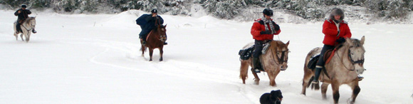 Voyage à cheval dans le Jura en hiver - Randonnée équestre organisée par Randocheval