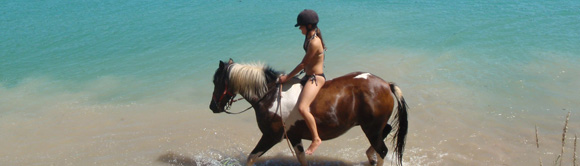 Voyage à cheval dans le Jura (juniors) - Randonnée équestre organisée par Randocheval