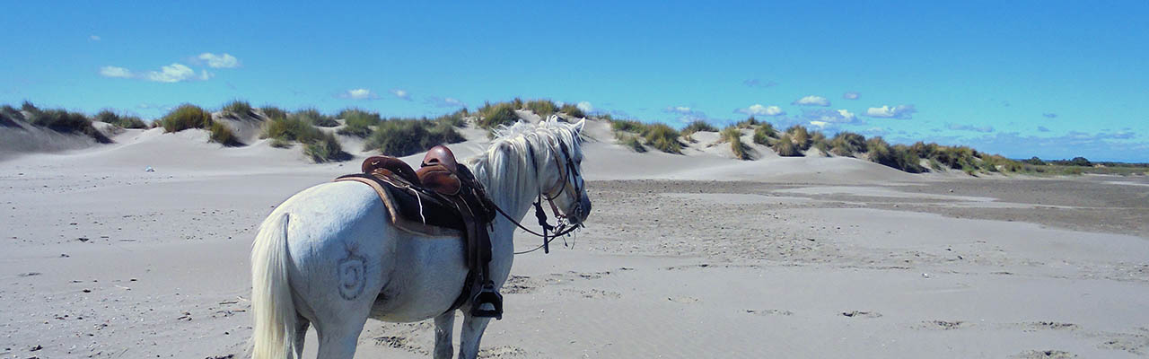 Voyage à cheval - Randonnée équestre organisée par Randocheval