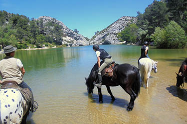 Rando Cheval - Voyage à cheval