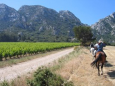 Randonnée équestre, Lubéron, la Provence de Cézanne - RANDOCHEVAL