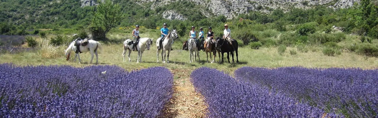 Voyage à cheval - Randonnée équestre organisée par Randocheval