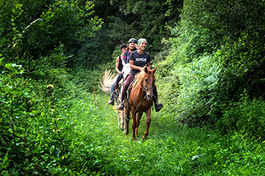 Rando Cheval - Voyage &agrave; cheval