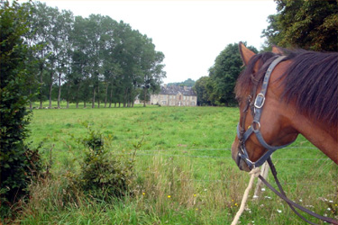 randonée à cheval en bretagne - randonnée jeune - randonnée enfant