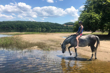 Randonnée à cheval - Un voyage Rando Cheval