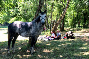 Randonnée à cheval - Un voyage Rando Cheval