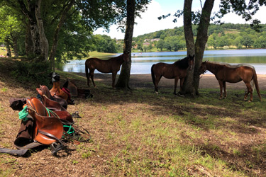 Randonnée à cheval - Un voyage Rando Cheval