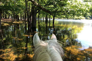 Randonnée à cheval - Un voyage Rando Cheval
