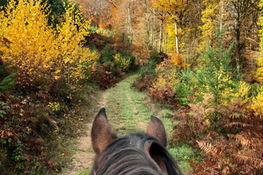 Randonnée à cheval - Un voyage Rando Cheval