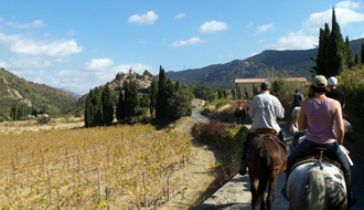 Rando Cheval en Pays Cathare en FRANCE - Voyage à cheval dans les Pyrénées