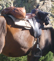 Rando Cheval en Pays Cathare en FRANCE - Voyage à cheval dans les Pyrénées