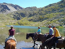 Rando Cheval en Pays Cathare en FRANCE - Voyage à cheval dans les Pyrénées