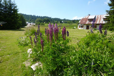 Randonnées équestres et aventure à cheval dans le Rhone Alpes (France)