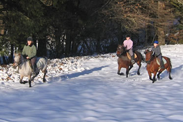 Randonnées équestres et aventure à cheval dans le Rhone Alpes (France)