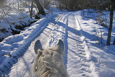 Rando Cheval en Savoie FRANCE - Voyage à cheval