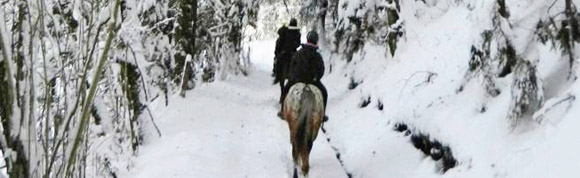 Rando Cheval en Savoie FRANCE - Voyage à cheval