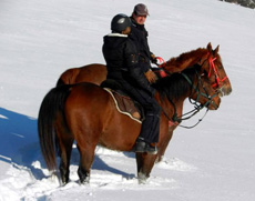 Rando Cheval en Savoie FRANCE - Voyage à cheval