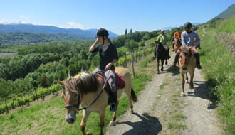 Chevaux Hensons en France - RANDOCHEVAL