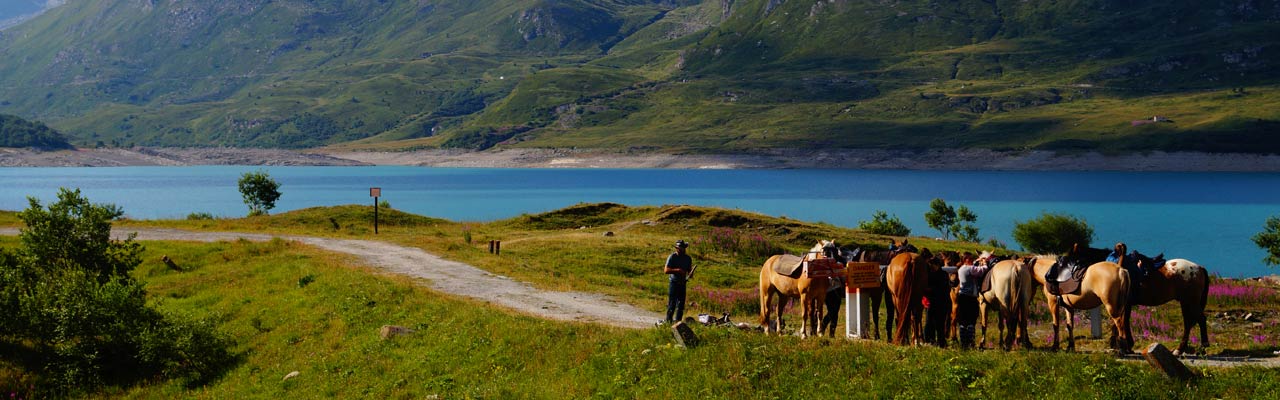 Rando Cheval en Savoie FRANCE - Voyage à cheval