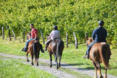 Rando Cheval en Savoie FRANCE - Voyage à cheval