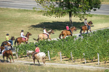 Rando Cheval en Savoie FRANCE - Voyage à cheval