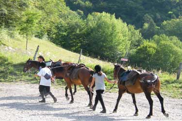 Rando Cheval en Savoie FRANCE - Voyage à cheval