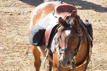 Rando Cheval en Savoie FRANCE - Voyage à cheval