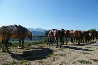 Rando Cheval en Savoie FRANCE - Voyage à cheval