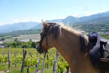 Rando Cheval en Savoie FRANCE - Voyage à cheval