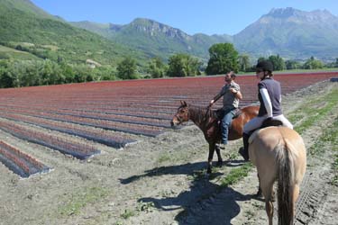 Rando Cheval en Savoie FRANCE - Voyage à cheval