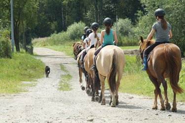 Rando Cheval en Savoie FRANCE - Voyage à cheval