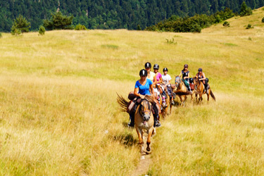 Rando Cheval en Savoie FRANCE - Voyage à cheval