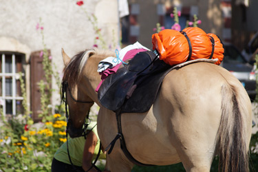 Rando Cheval en Savoie FRANCE - Voyage à cheval