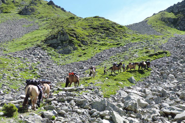 Rando Cheval en Savoie FRANCE - Voyage à cheval