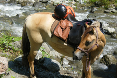 Rando Cheval en Savoie FRANCE - Voyage à cheval